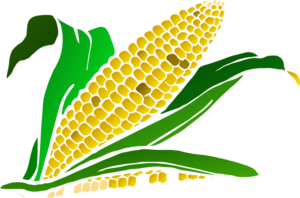 Corn Maze Clipart Downloads - Free Clipart Images