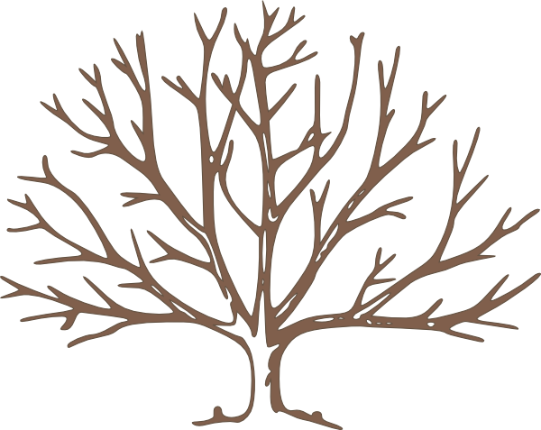 Leafless Tree - ClipArt Best