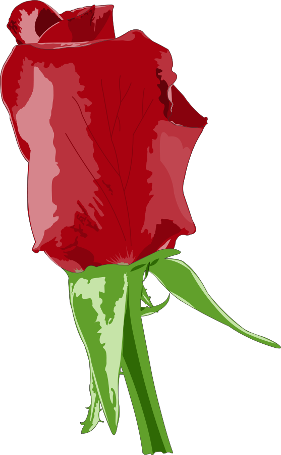 Red Rose SVG Vector file, vector clip art svg file