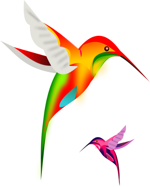 Hummingbird Pictures Clip Art - Tumundografico