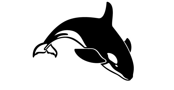Pix For > Killer Whale Outline