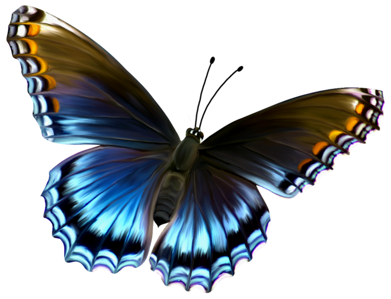Beautiful Blue and Brown Butterfly PNG Clipart by zwyklaania on ...