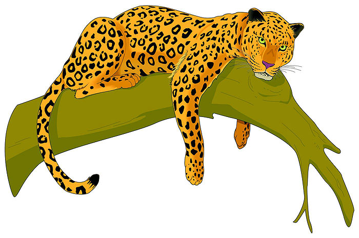 Jaguar Clip Art Vector - Free Clipart Images