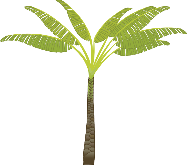 banana tree clip art - photo #20