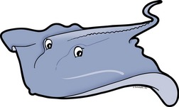 6 sting ray clip art. - Free Clipart Images