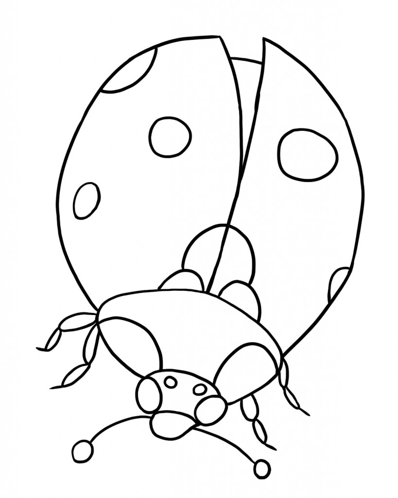 Lightning Bugs Colouring Pages Page 2
