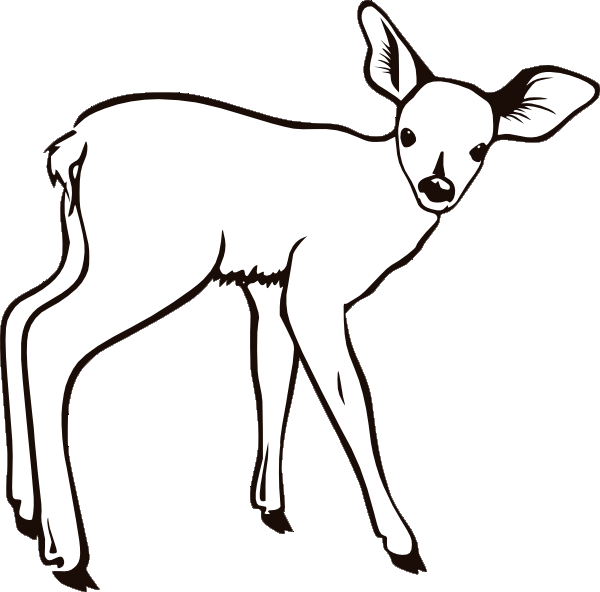 Deer Coloring Pages 3 | Coloring Pages To Print
