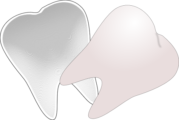 Tooth Cut In Half clip art - vector clip art online, royalty free ...