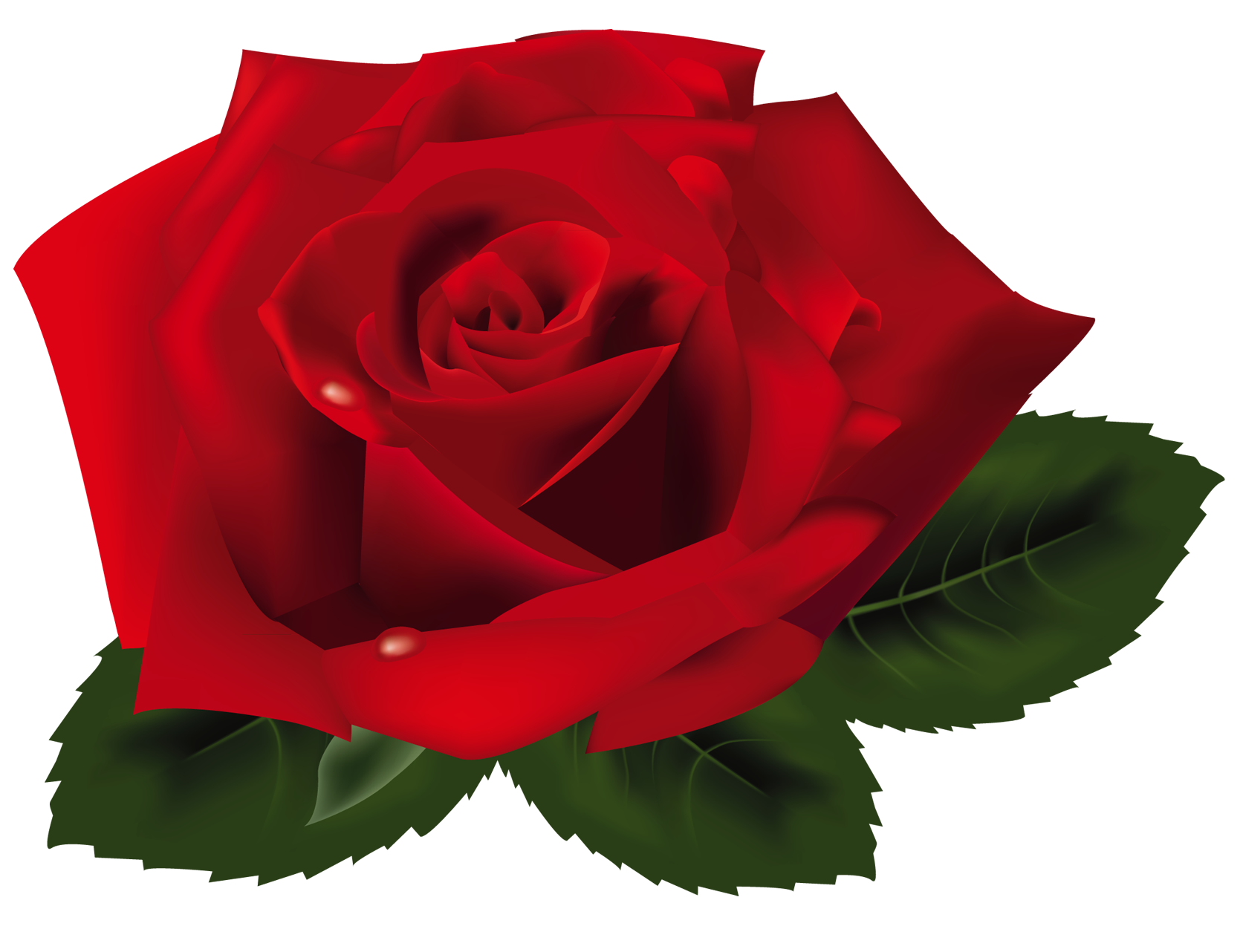 Free Png Rose - ClipArt Best