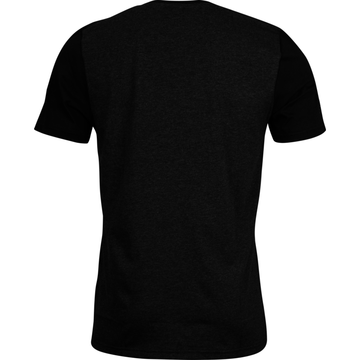 All Blacks 2015 Men's Grey Graphic T-Shirt - All Blacks Online Store