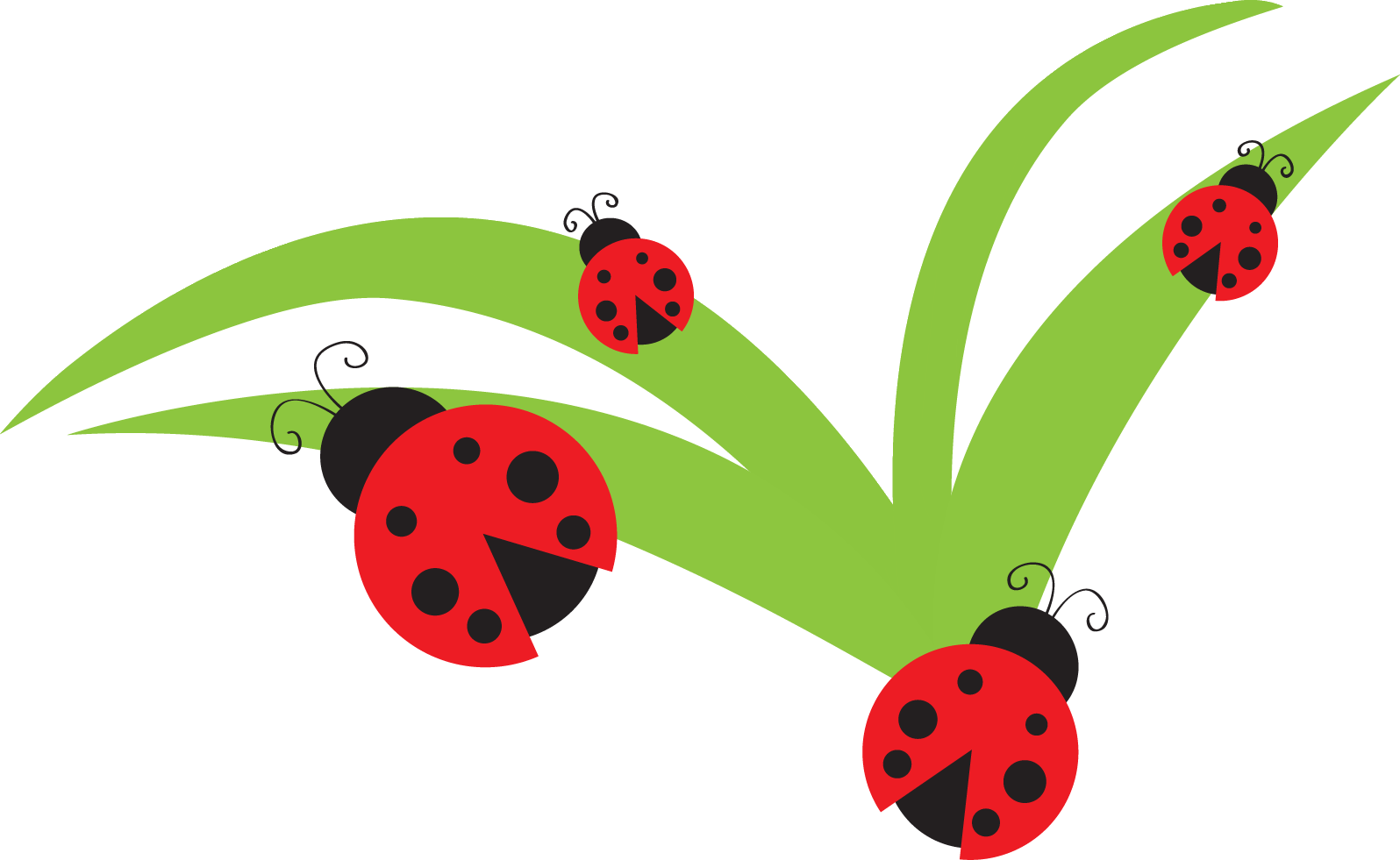 Ladybug school clipart