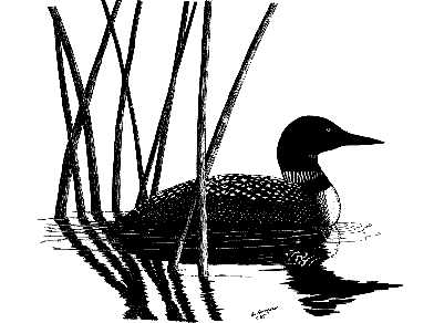 Loon Silhouette Clipart