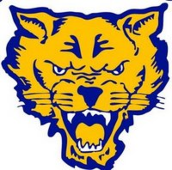 Wildcat Clipart Logo - Free Clipart Images
