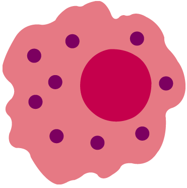 Macrophage Picture - ClipArt Best
