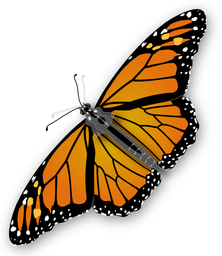 Monarch clipart