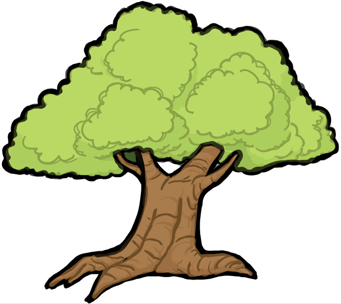 How to Draw Cartoon Trees with Easy Step by Step Drawing Tutorial ...