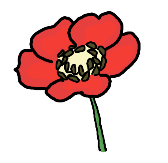 How to draw a Poppy Flower