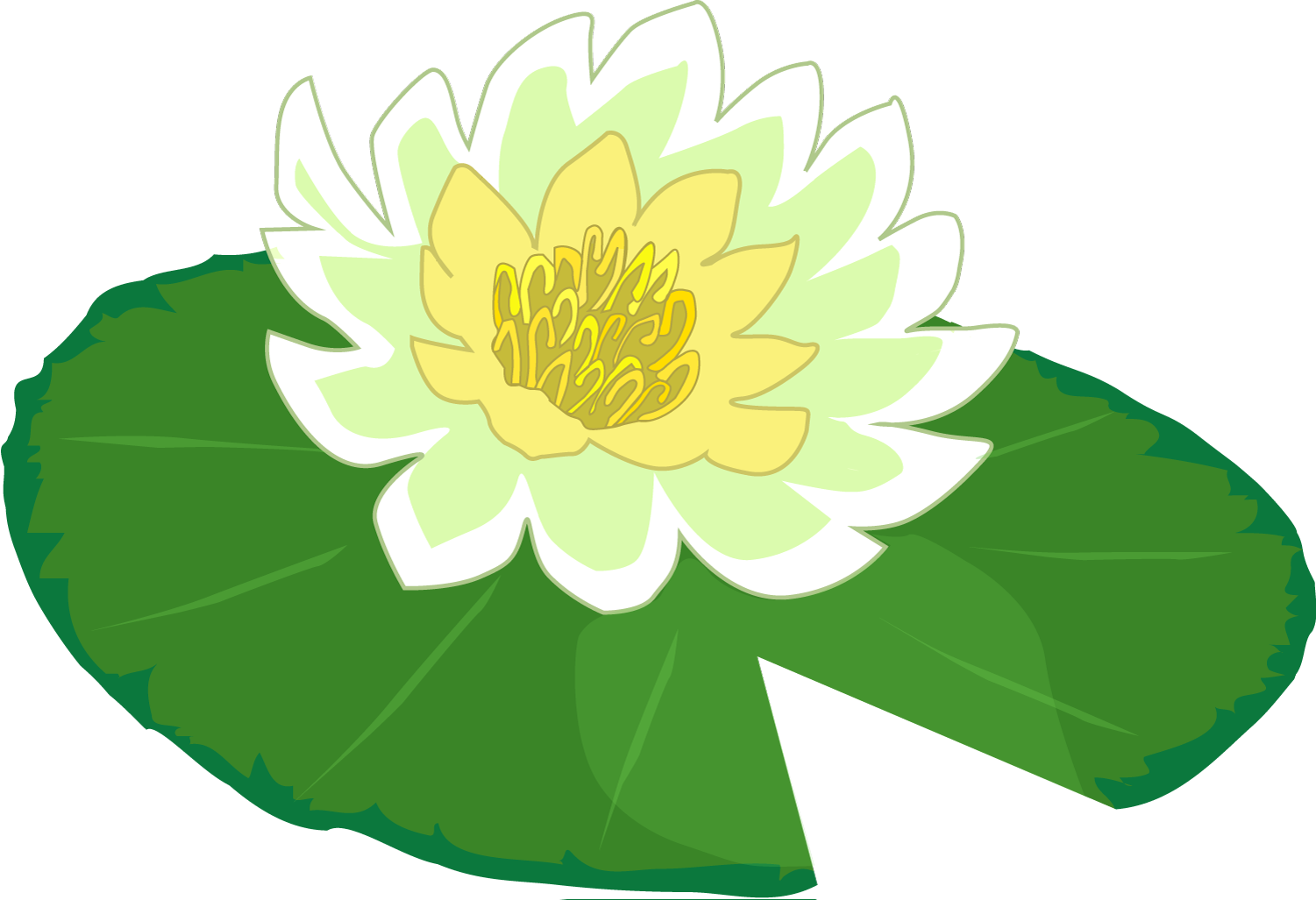 Lily Pad | Free Download Clip Art | Free Clip Art