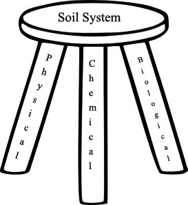 Soil Management – A Shift In The Modern Paradigm | Soilhealth.