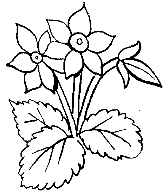 Flower clipart in black and white