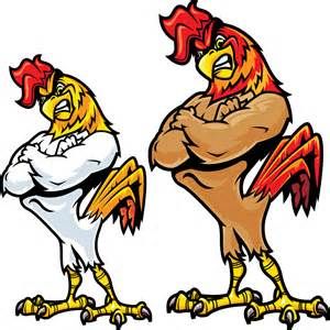 Cartoon, Image search and Roosters