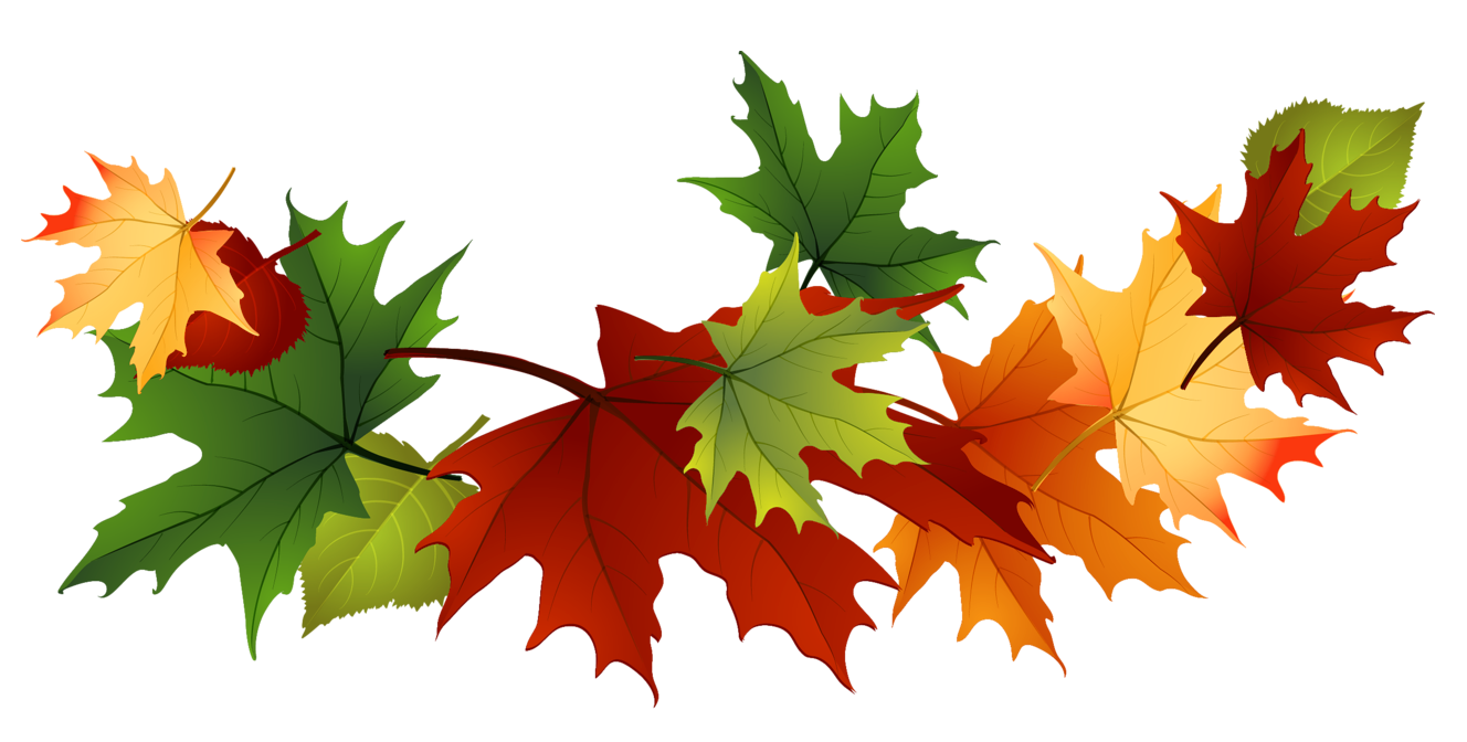 Autumn Leaves Clipart Free