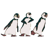 Animations A2Z - animated gifs of penguins