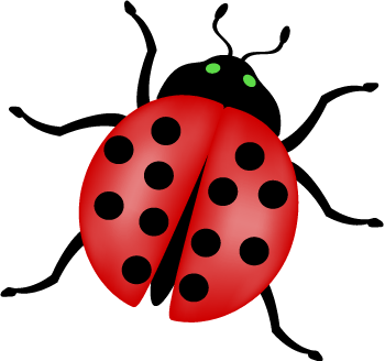 Lady Bug Beetle Clip Art Graphic