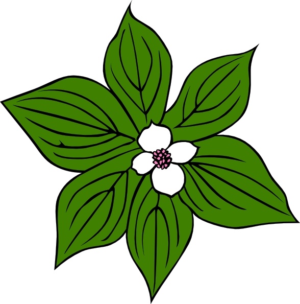Green Flower clip art Free vector in Open office drawing svg ...