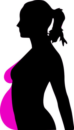 pregnant woman silhouette - vector Clip Art