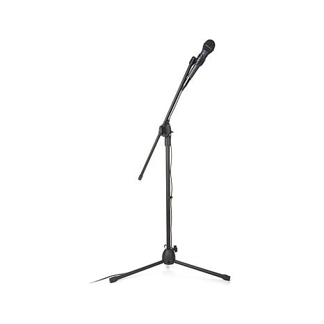 Mic Stand With Mic Silhouette - ClipArt Best