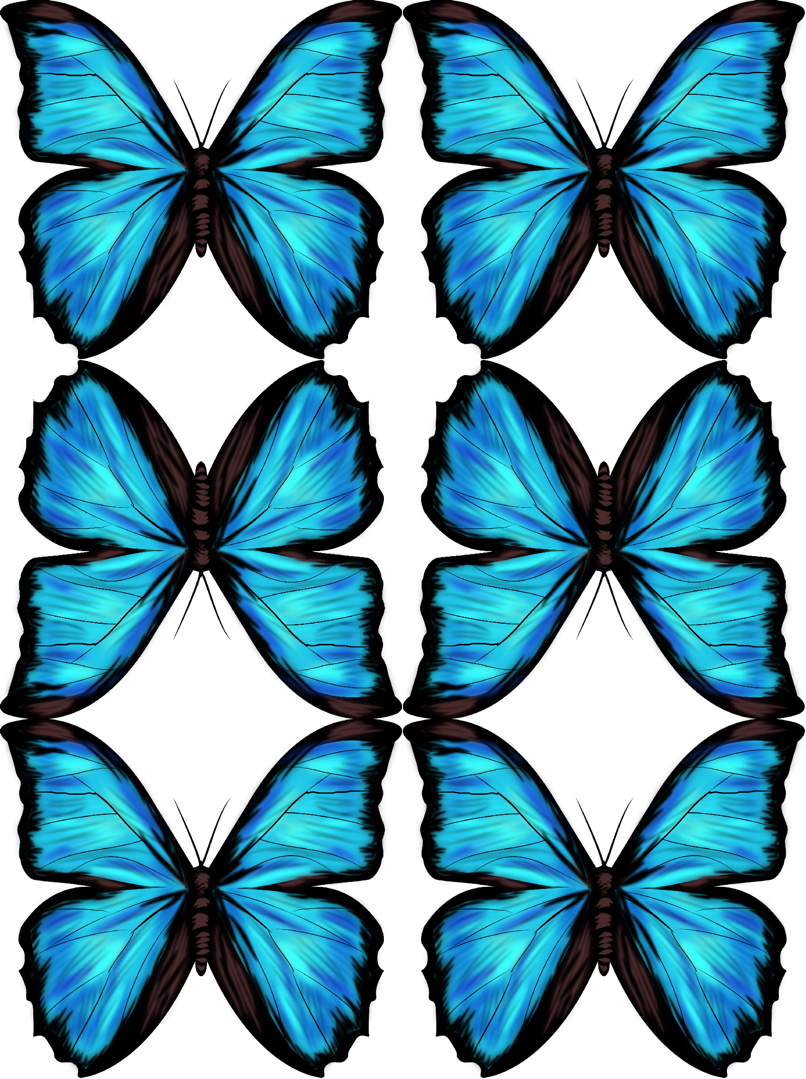 603 views Blue Morpho Free downloadable drawing and tutorial | MYRTE