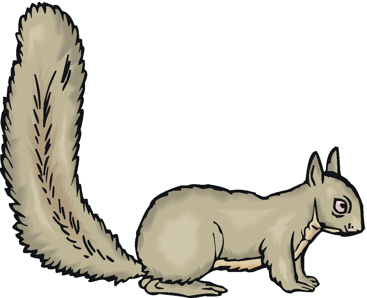 570 views Squirrel no tail clipart black and white