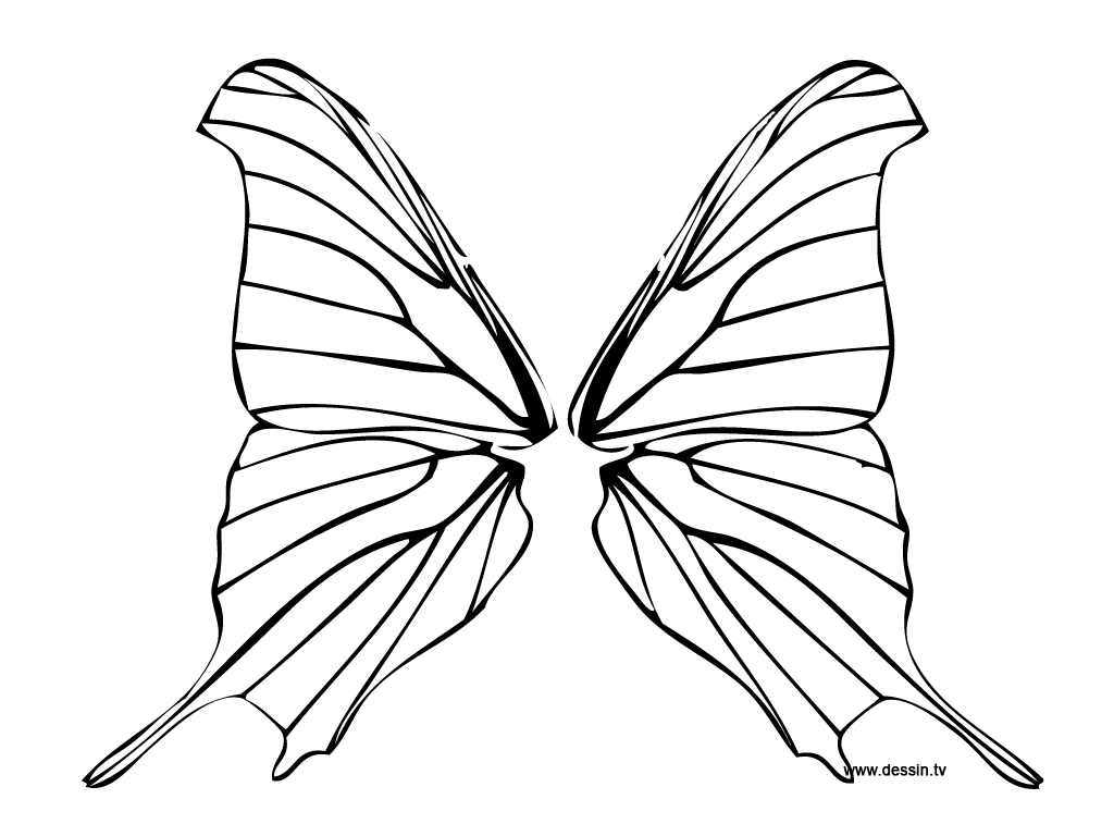7 Best Images of Butterfly Wings Template - Butterfly Wings ...