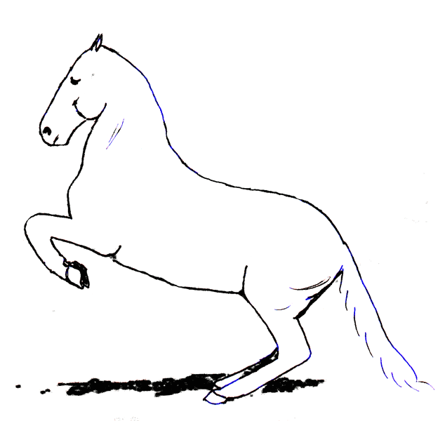 The Horse's Balance