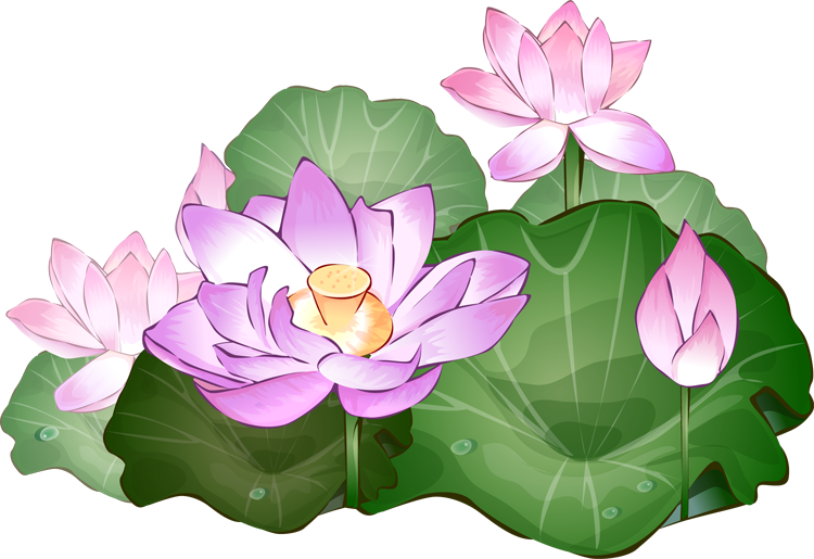 free lotus flower clip art - photo #26