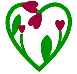 Create a Heart Tulip