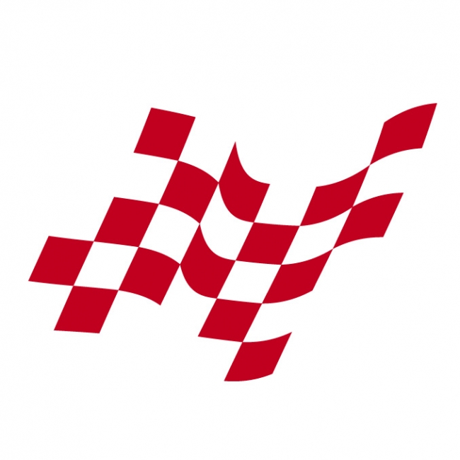 Checker Flag Logo | Tailored Car Mats & Car Accessories ...