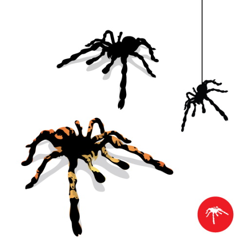 Tarantula Spider Vector | DragonArtz Designs