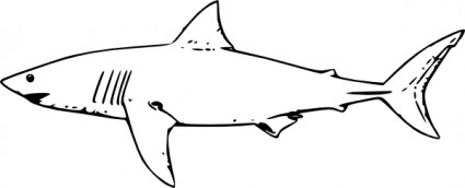 White Shark clip art Vector clip art - Free vector for free download