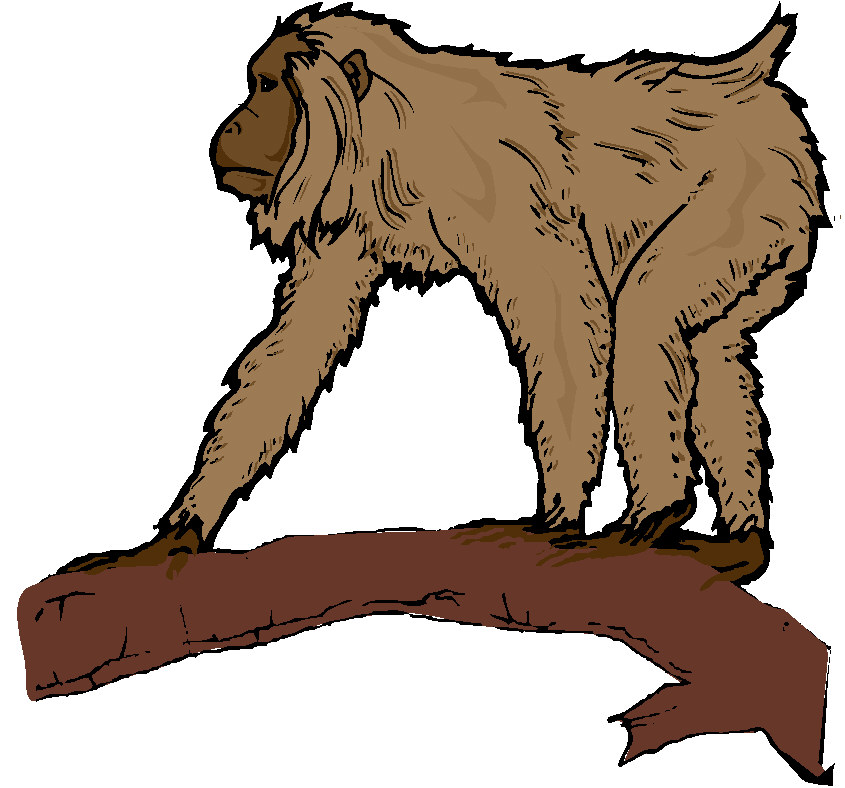 clipart of monkeys - photo #40