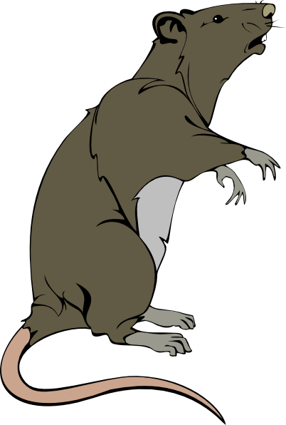 Rat Clip Art Free - Free Clipart Images