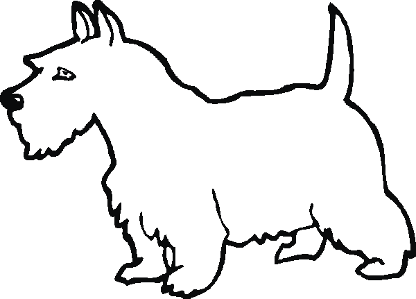 scottie dog Colouring Pages