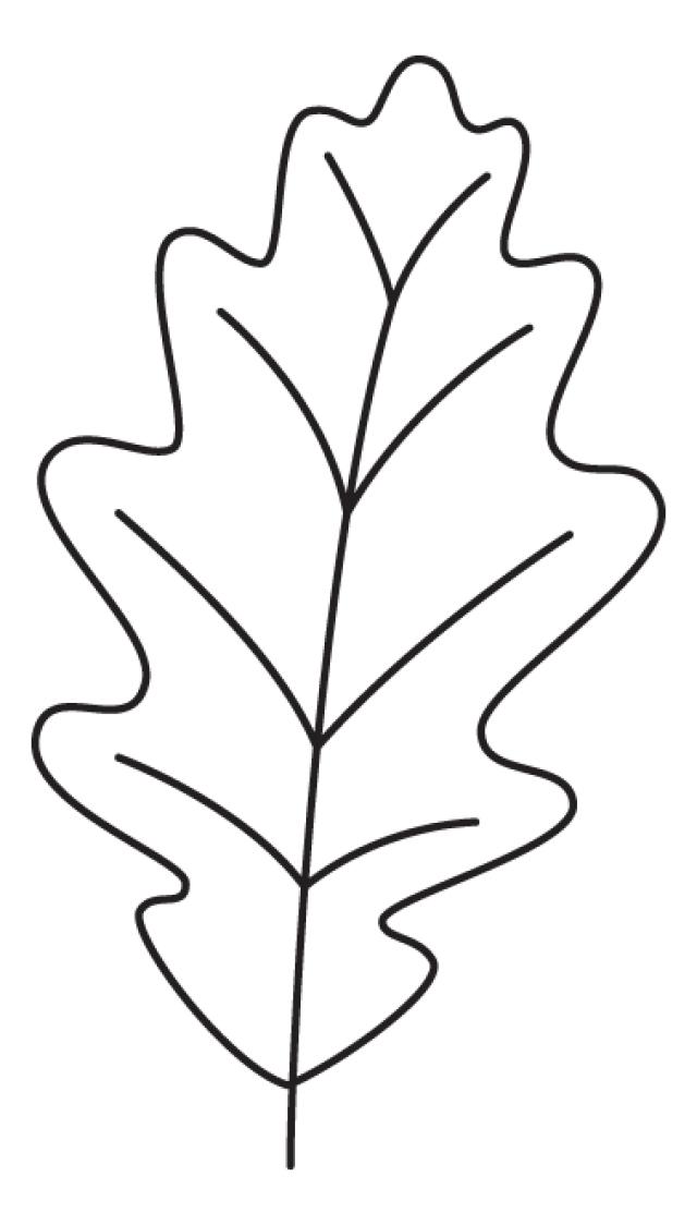 Oak Leaves Template