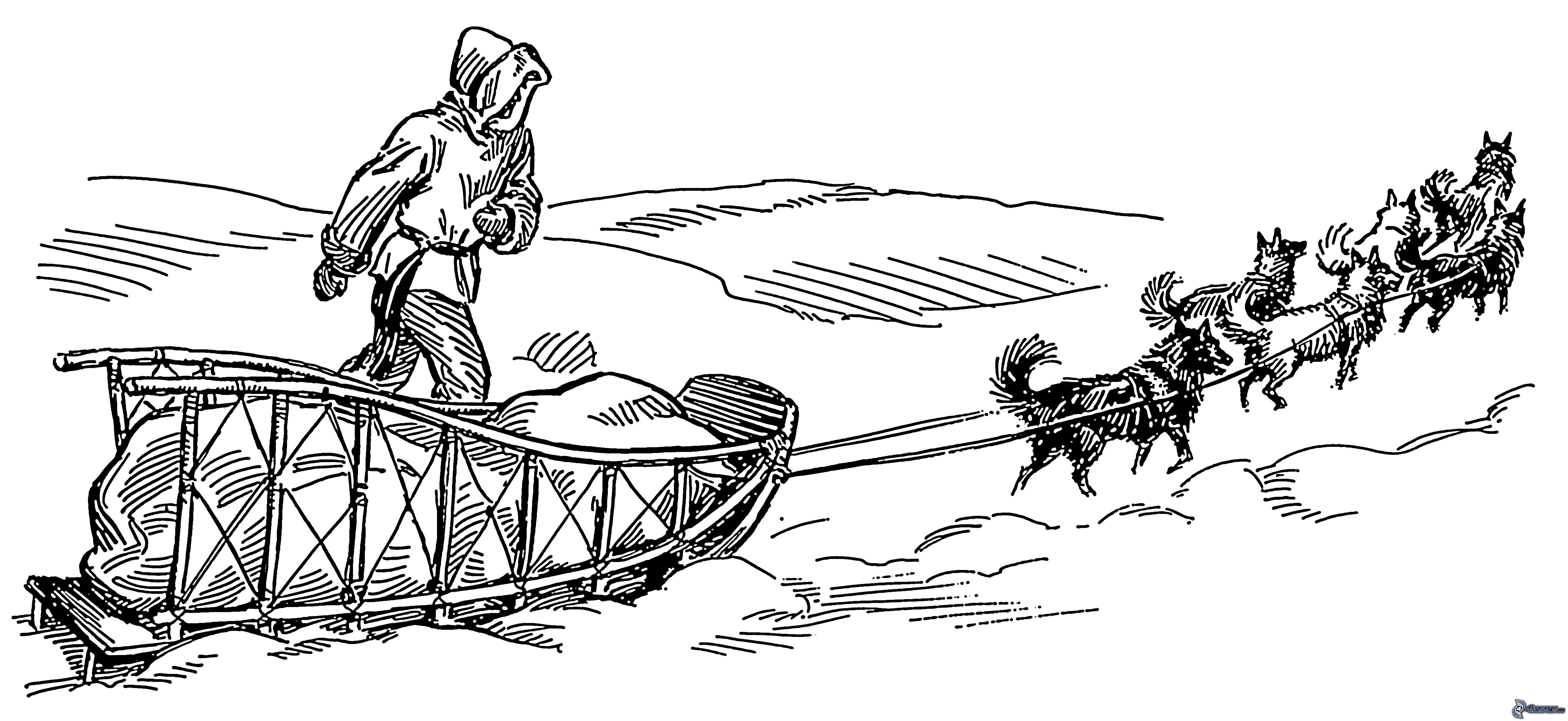 dog mushing clipart - photo #22