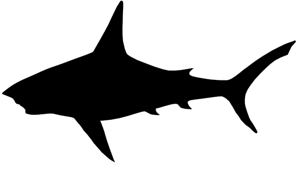 Great White Shark Clipart Black And White - Free ...