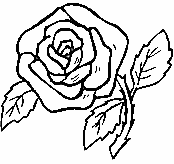 Draw a rose coloring pages |coloring pages for adults, coloring ...
