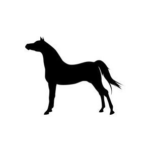 Standing Horse Stencil - 6 inch (at longest point ...