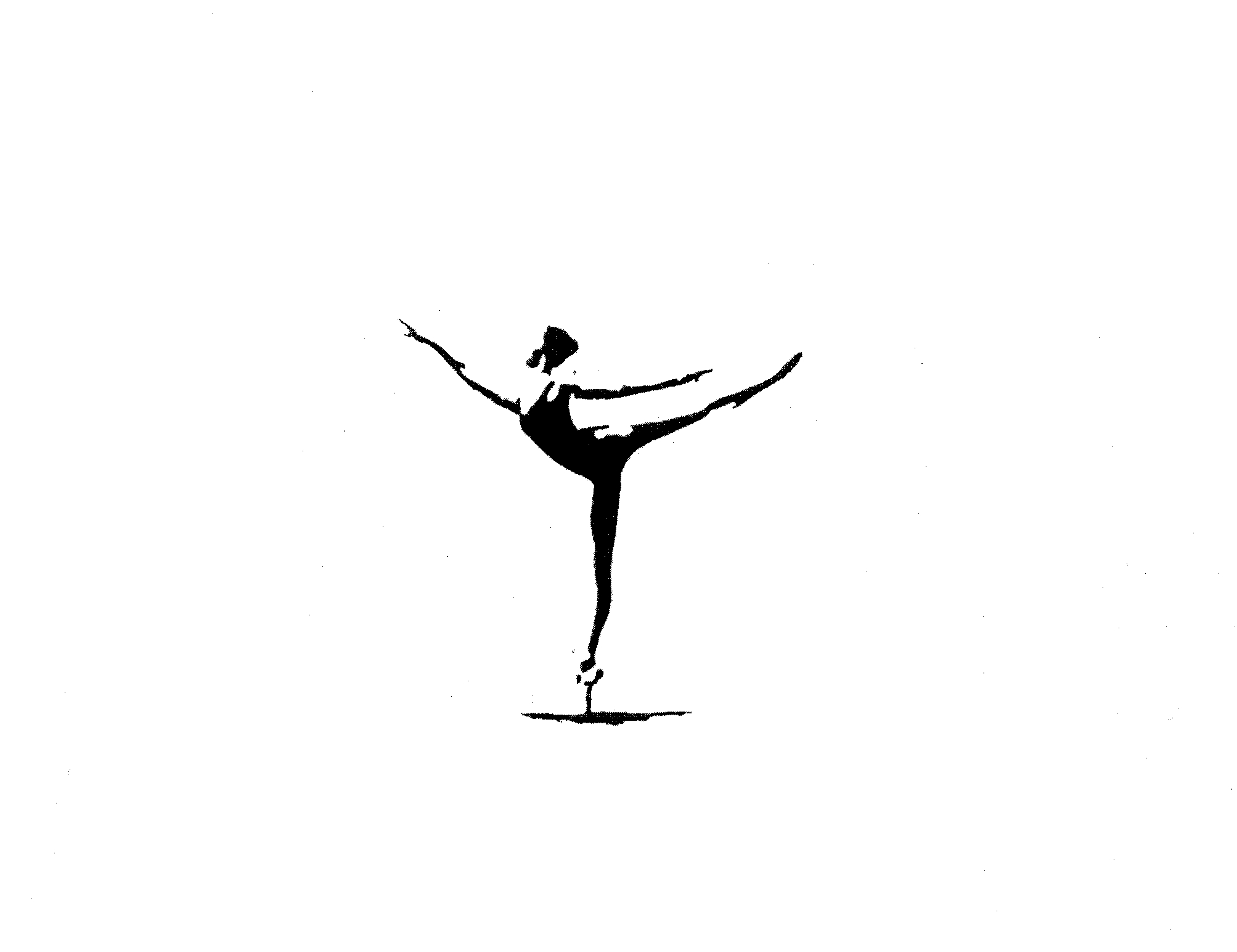 BALLET DANCER,SILHOUETTE by Christine Bowman - 1451051