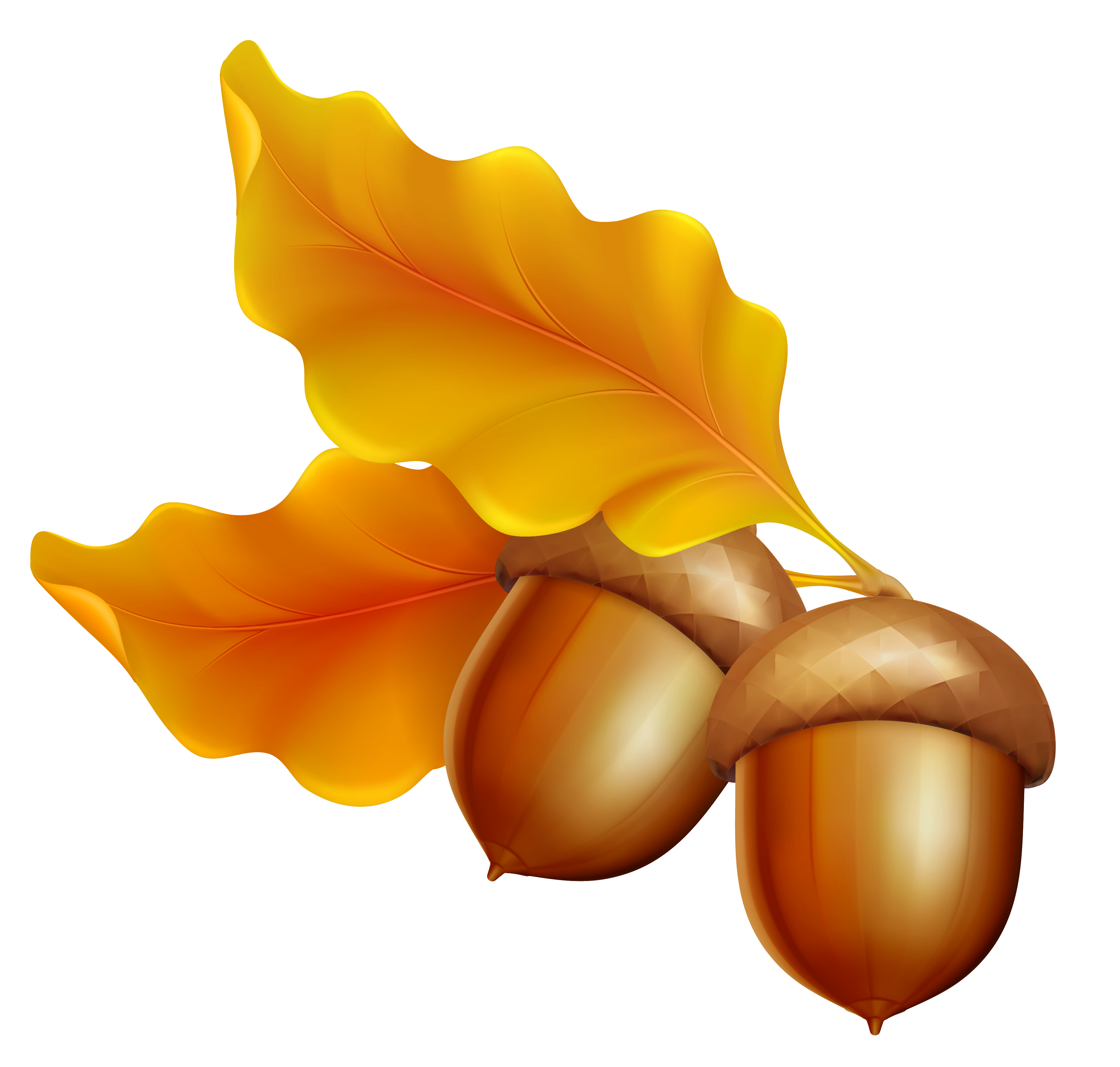 Leaves and Acorns Clip Art – Clipart Free Download